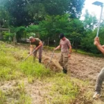 Sejumlah personel Satgas Madago Raya mencangkul di lahan pertanian untuk menjaga ketahanan pangan di Poso, Selasa (7/1/2025). (Foto: Humas Satgas Madago Raya)