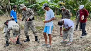 Dukung Ketahanan Pangan, Satgas Madago Raya Tanam Jagung